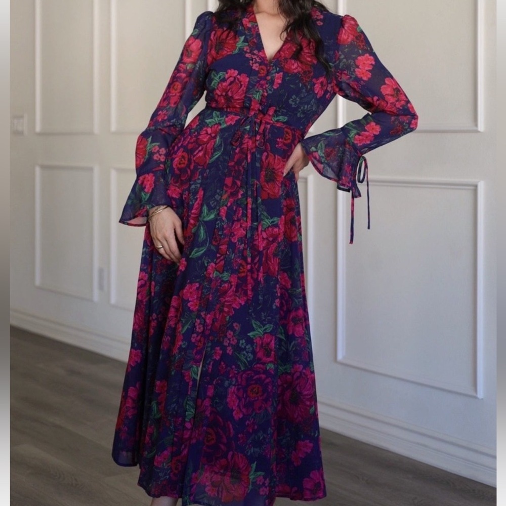 NWT Hermoza Cristina Dress XS Velvet Floral Current Season 25